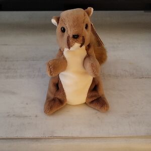 Ty Beanie Baby "Nuts The Squirrel" Brown and White Plush Toy